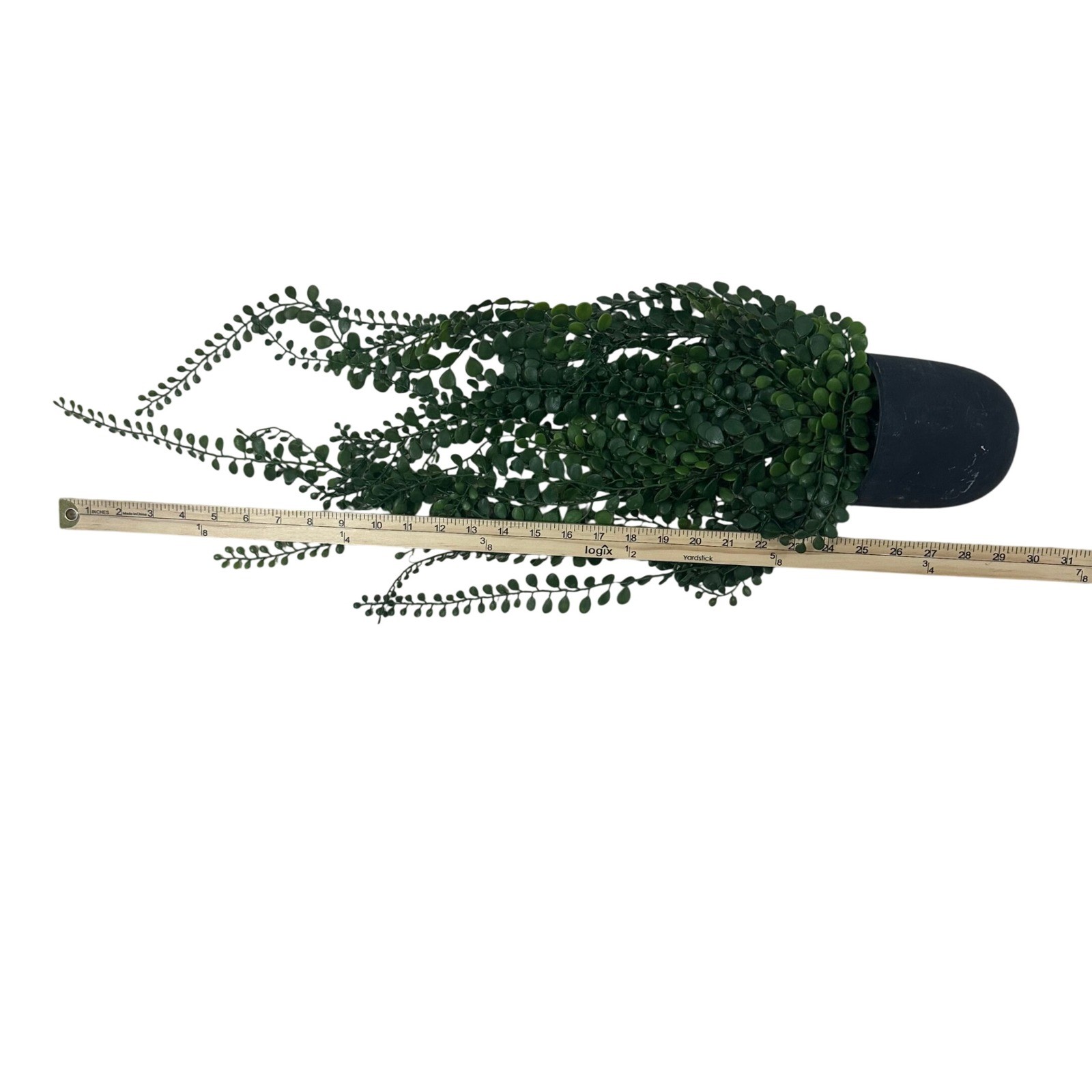 Artificial Trailing Succulent Plant in Black Matte Pot 30 Inch Green Faux Vine