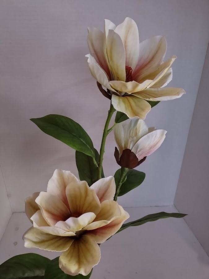 Magnolia stem bush CREAM with Green highlights