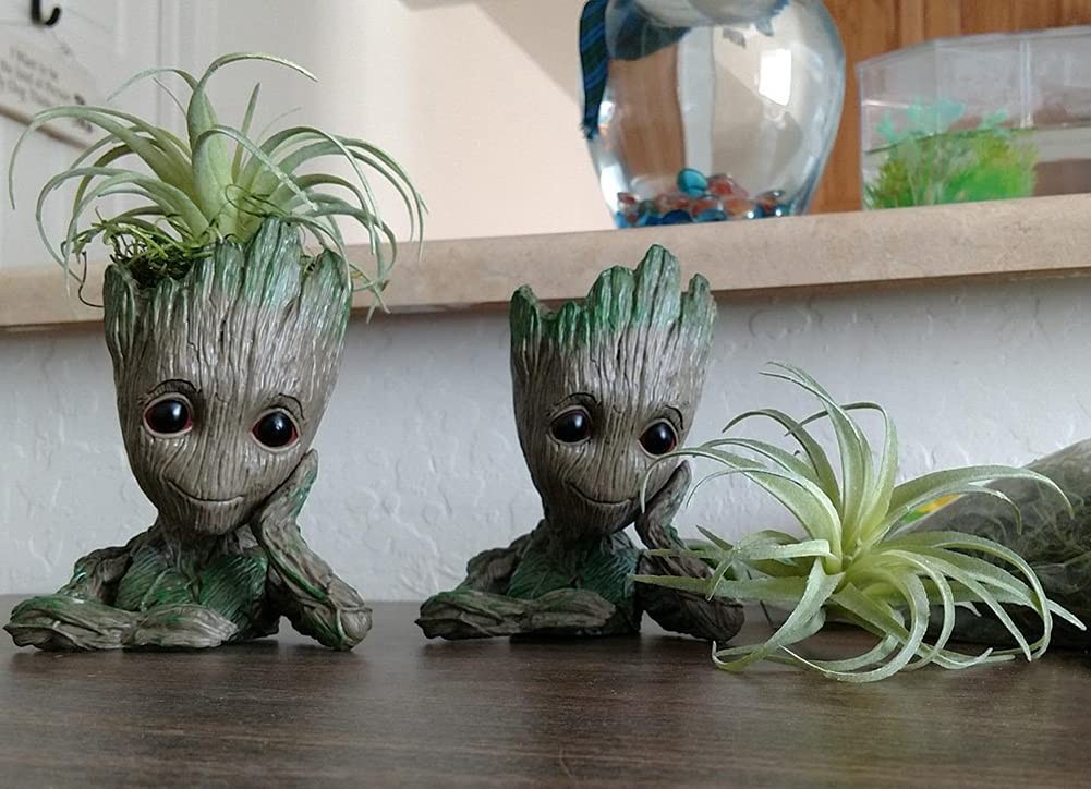 3 PCS Artificial Air Plants Faux Succulents Unpotted Flocked Green DIY Decor