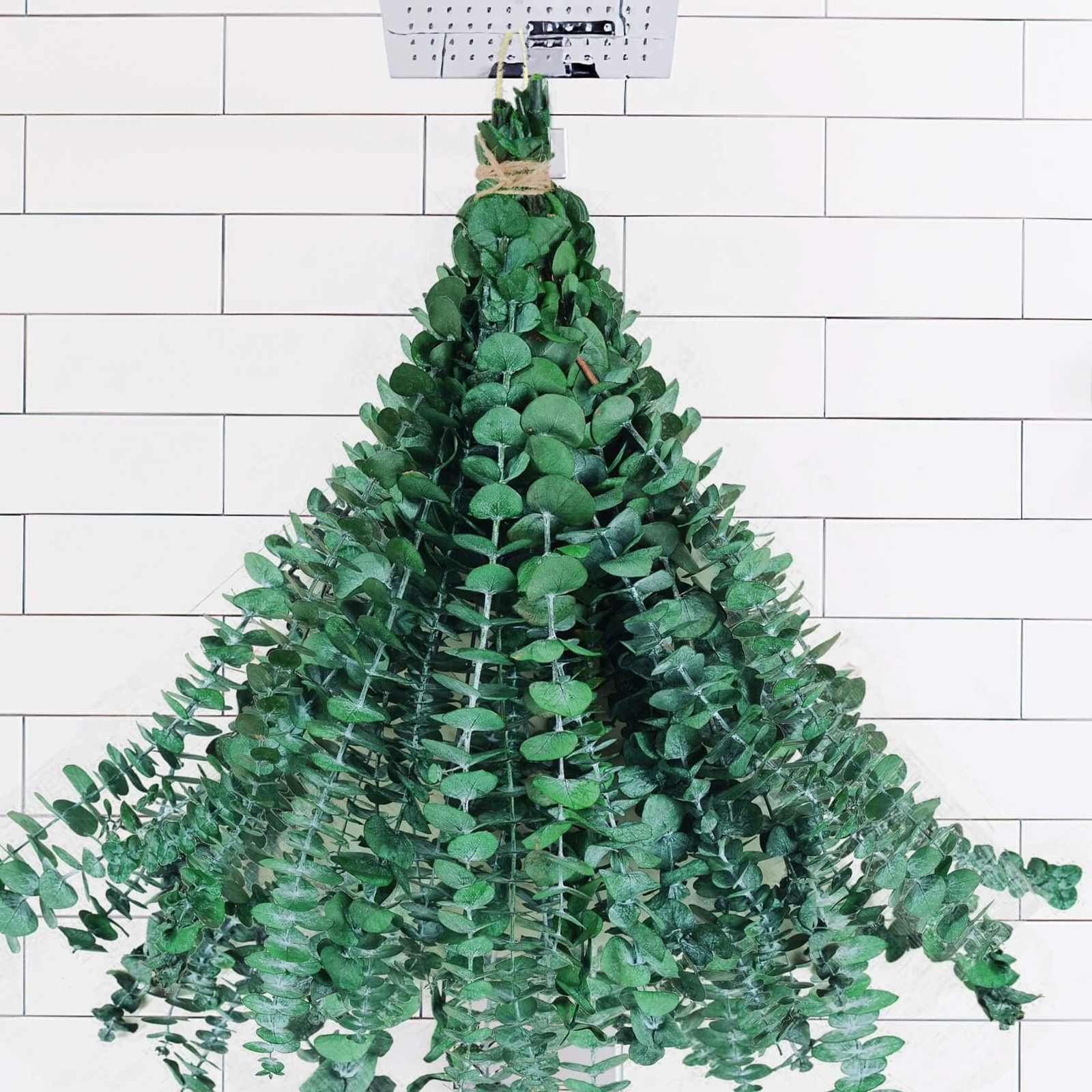 20 PCS Dried Preserved Eucalyptus for Shower, 17″ Real Natural Fresh Hanging …