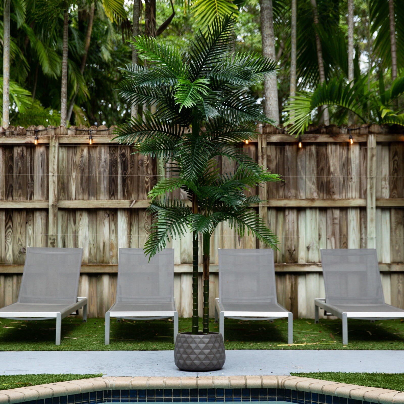 8’ Artificial Double Robellini Palm Tree UV (Indoor/Outdoor). Retail $239