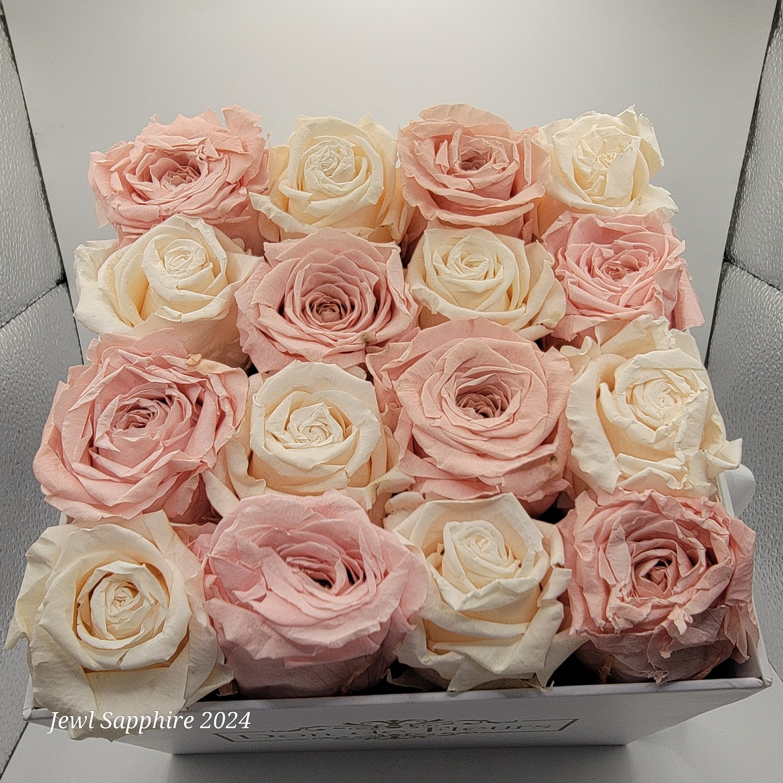 Don de Fleurs Handmade preserved real roses 16 count in box Pink and white
