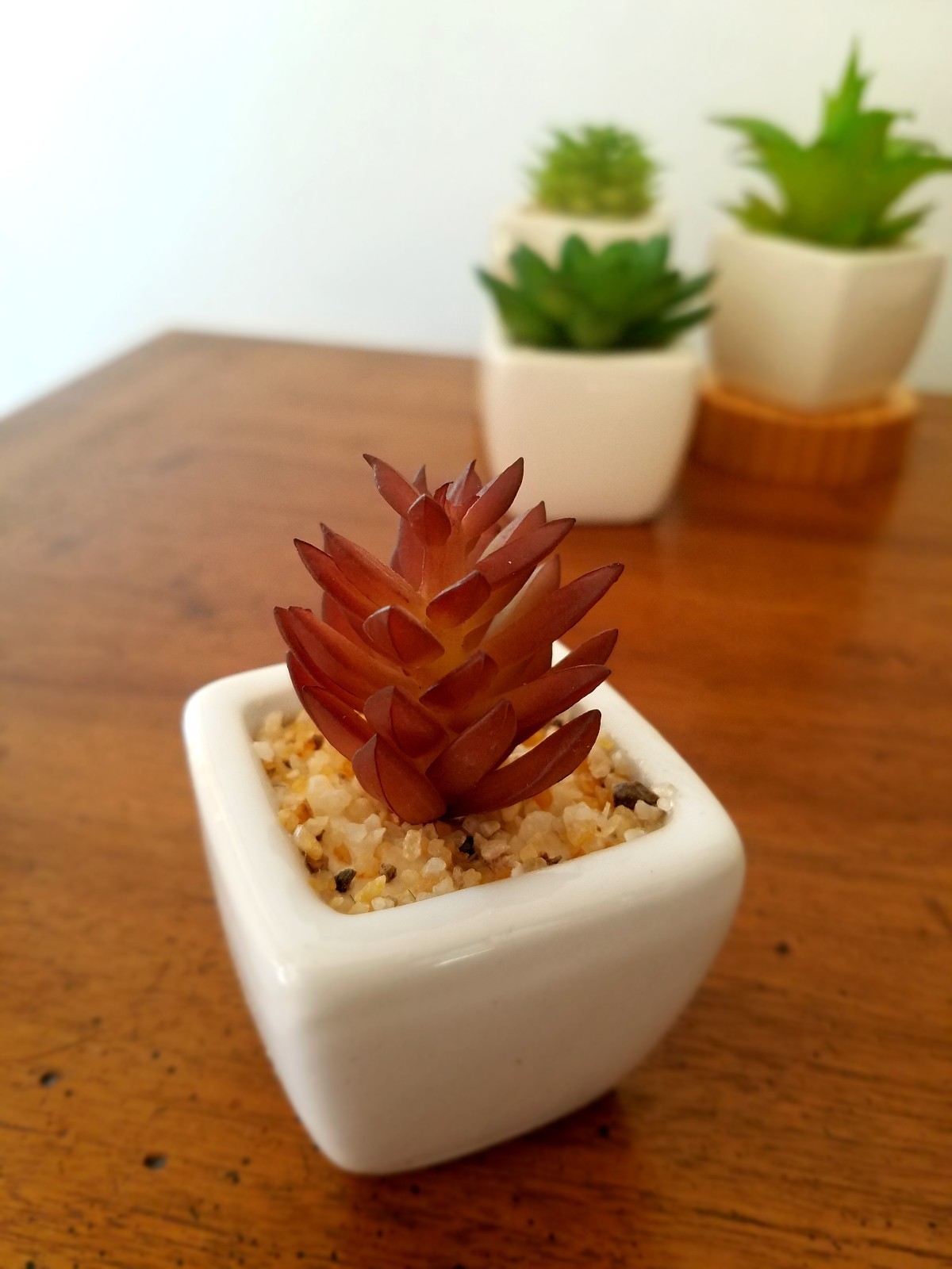 Party Favor Artificial Succulent Set in White Ceramic Pot Mini Plant Home Decor