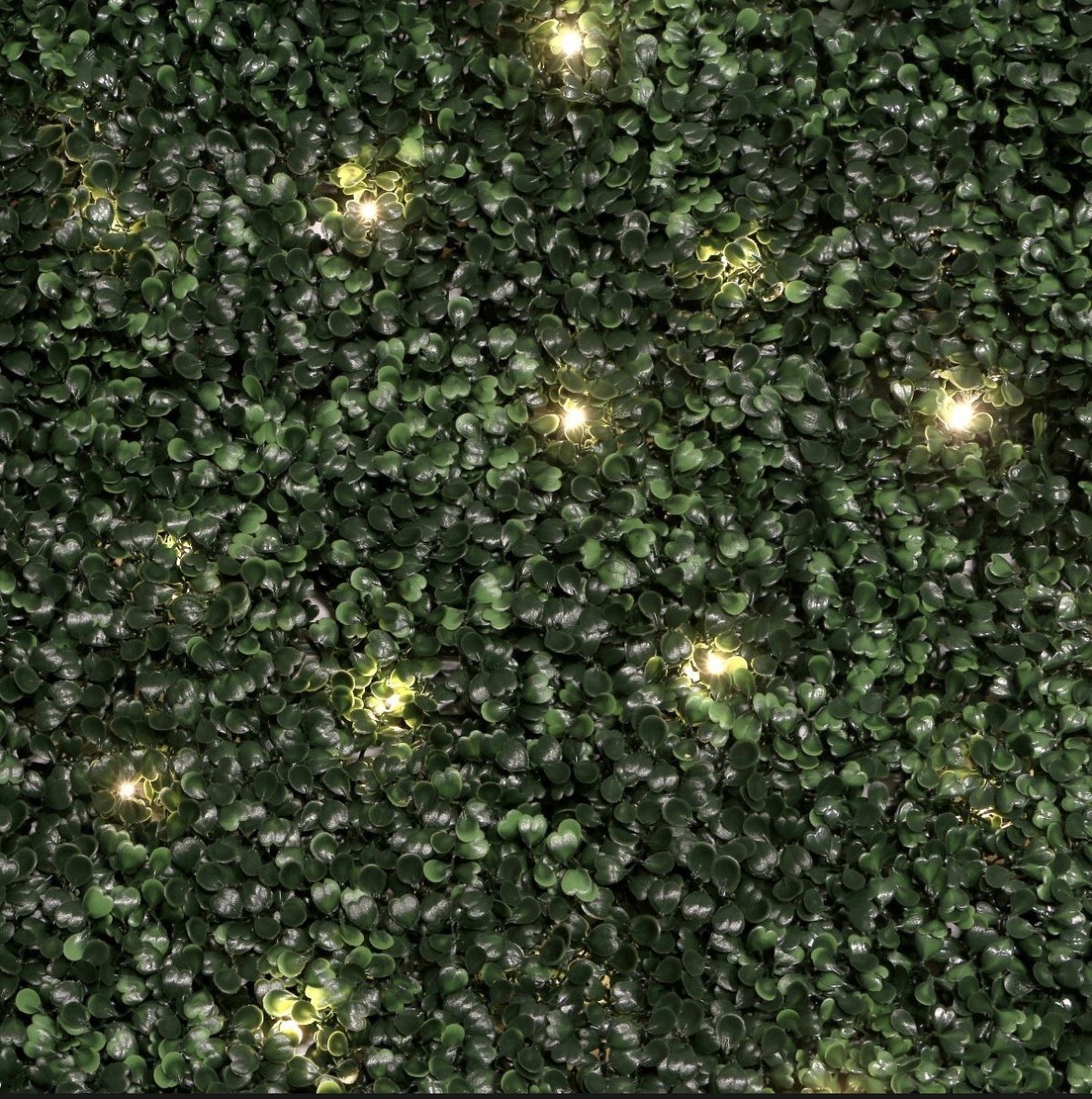 Artificial Hedge Wall Panel With Lights – Golden Select – 3.2’ x 3.2’