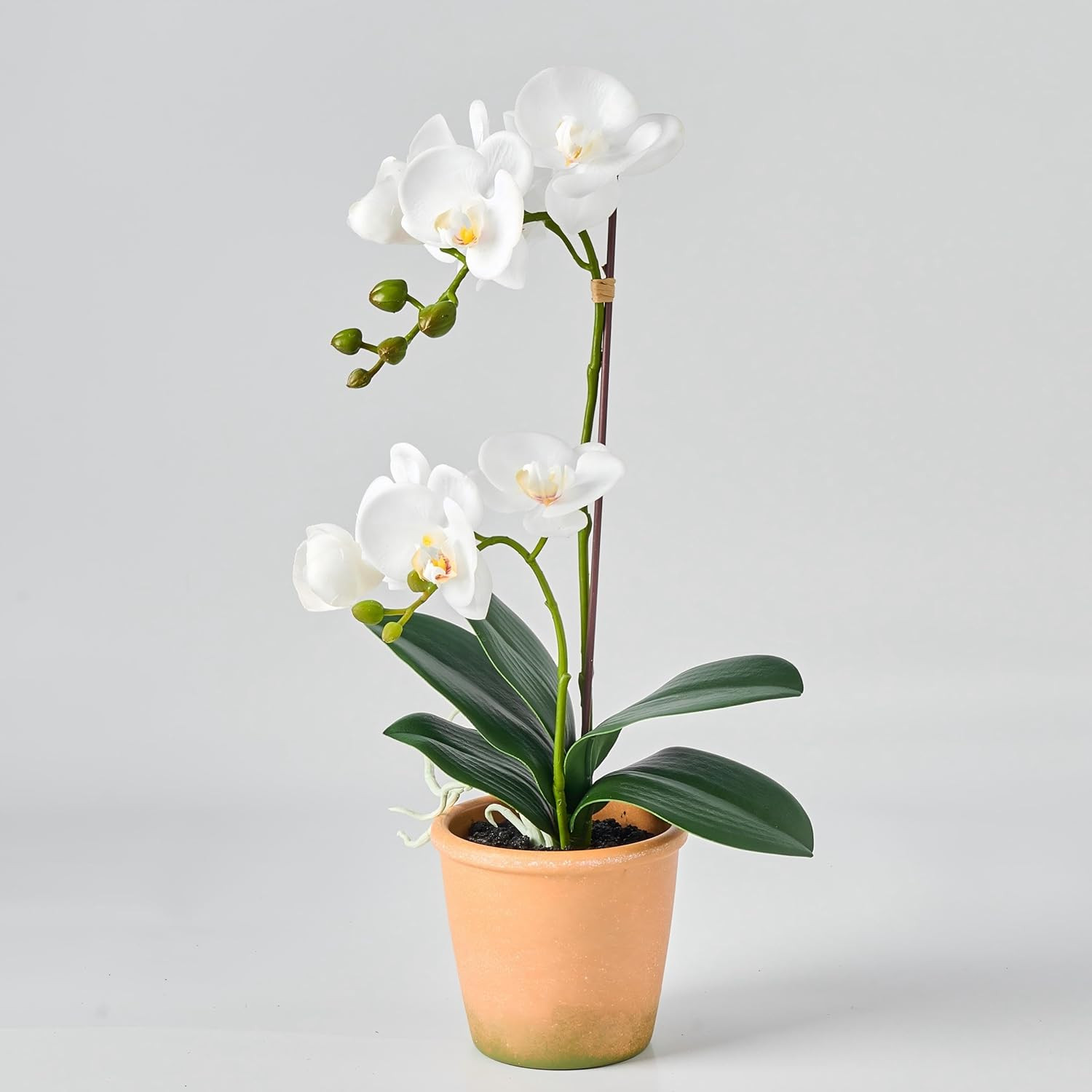 Artificial Real Touch Orchid Plant – 15″ Faux Phalaenopsis in Pot – Highly Reali