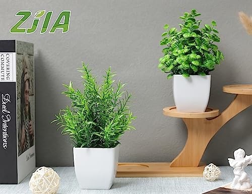 2 Pack Fake Plants Small Artificial Greenery Faux Plants Indoor for Home Farmhou