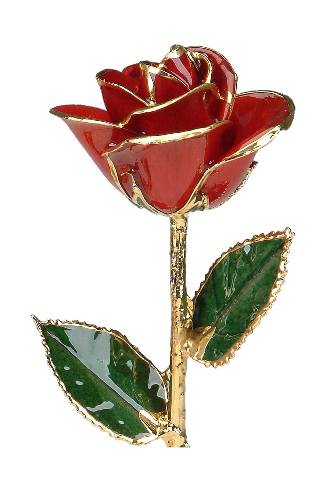 Living Gold Red 24k Gold Rose Real Rose Dipped in Gold, 12″, 1 pc.