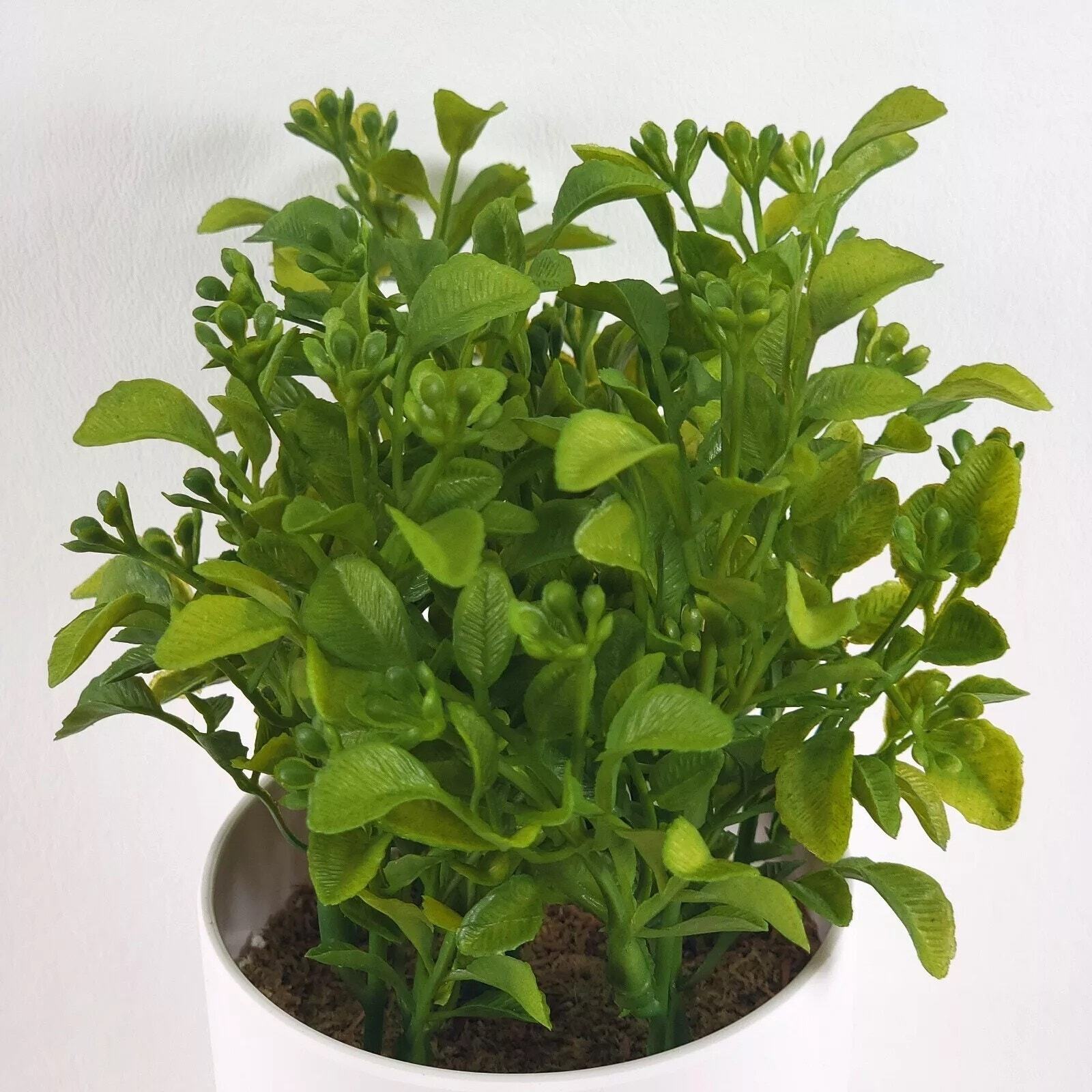 Threshold 8″ Faux Boxwood Potted Plant Home Office Decor NEW by Target