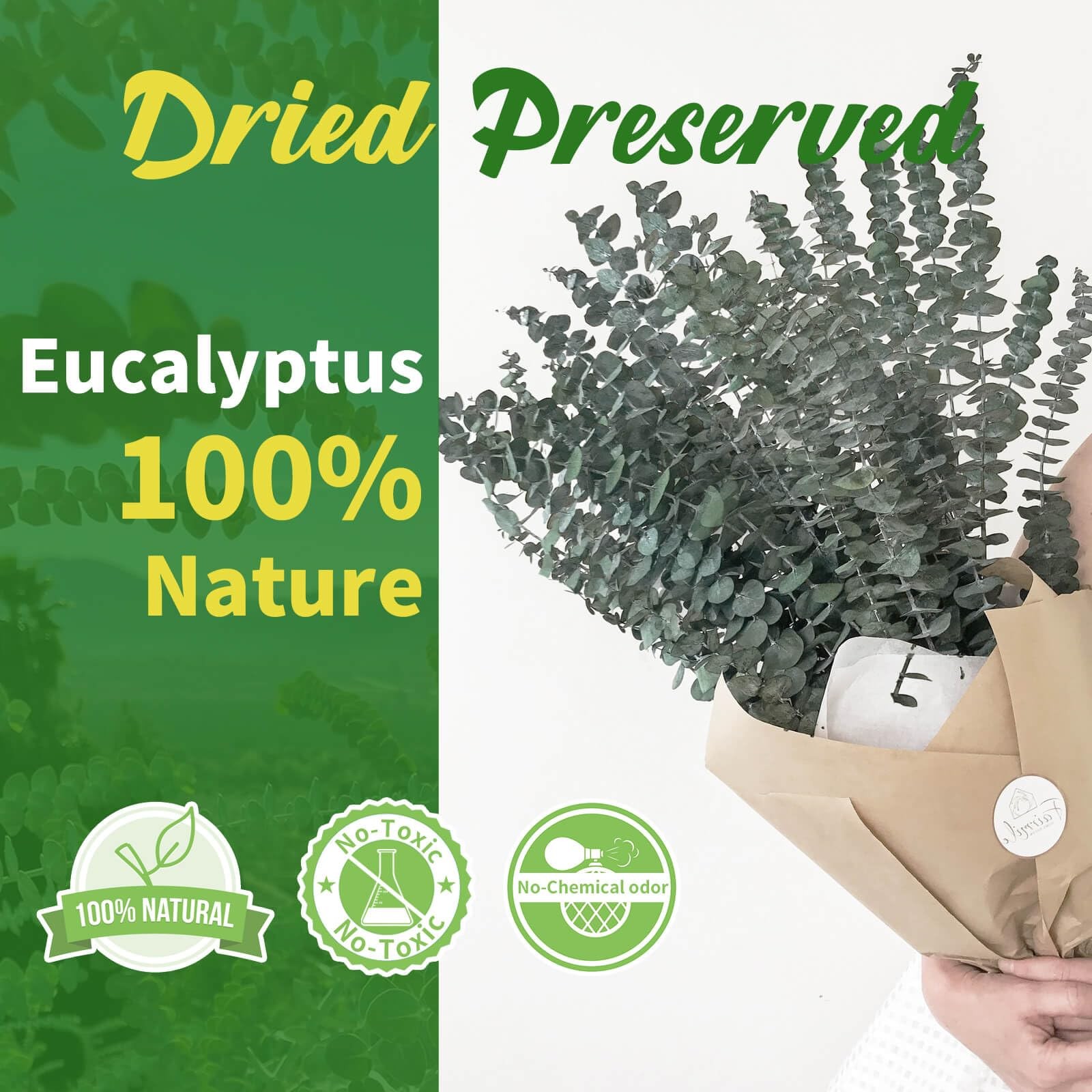 24 PCS Real Dried Eucalyptus Stems for Shower Hanging-17” Large Preserved Pl…