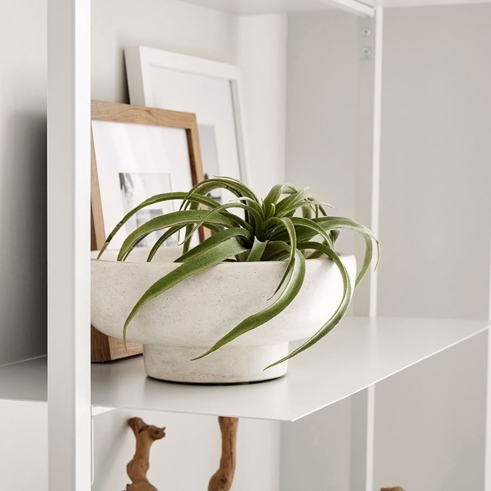 NEW POTTERY BARN Soft Mint Green Faux Air Plant Tillandsia Table Decor Display