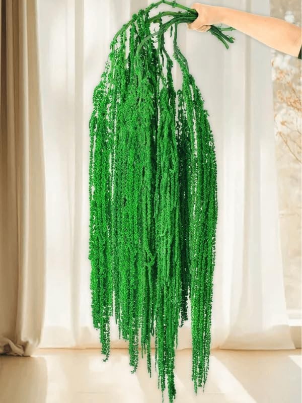 5pc Dried Amaranthus Hanging Stems Dark Green 23in Real Preserved Wedding Xmas