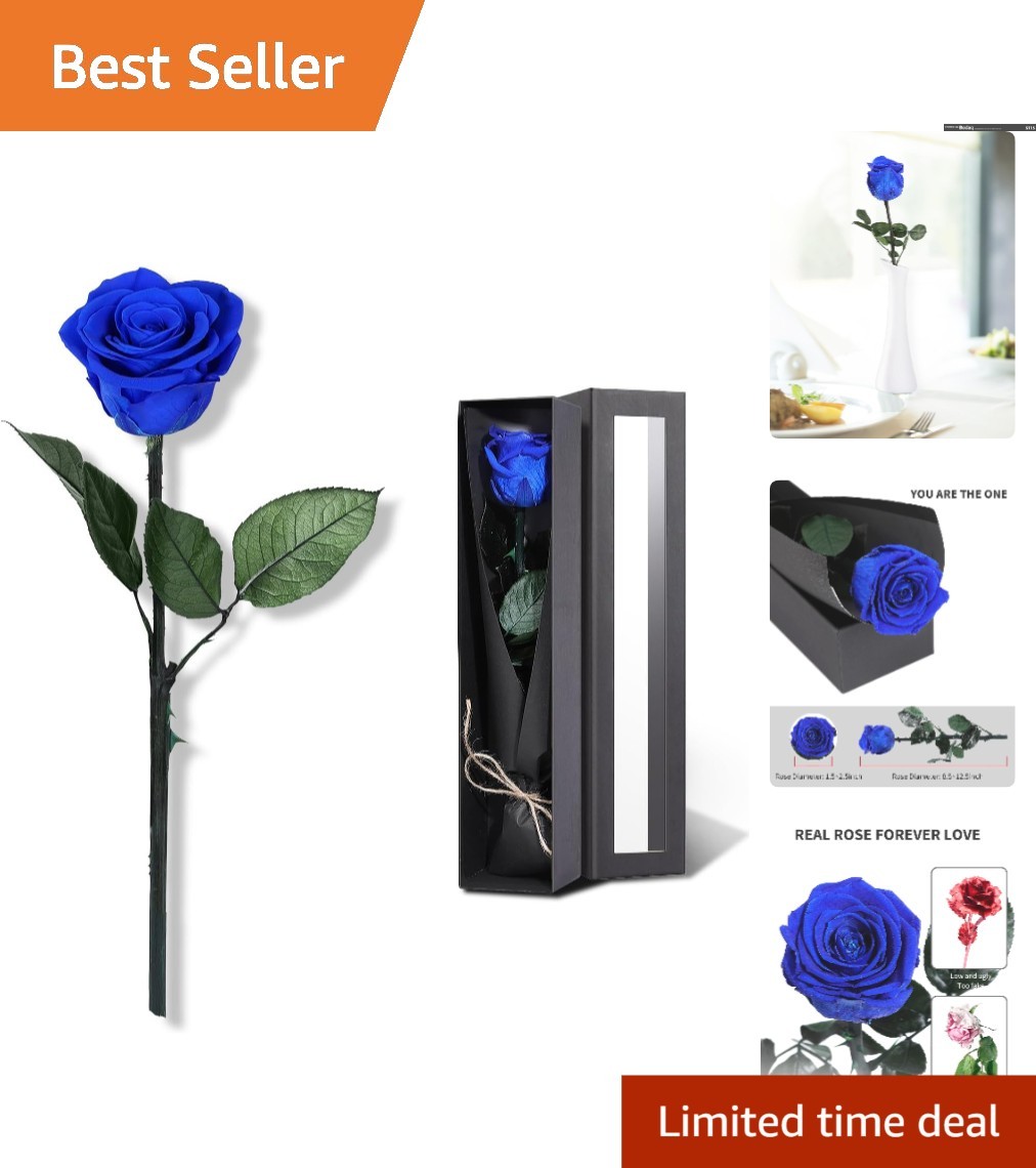 Elegant Preserved Blue Roses – Perfect Birthday & Anniversary Gift for Women