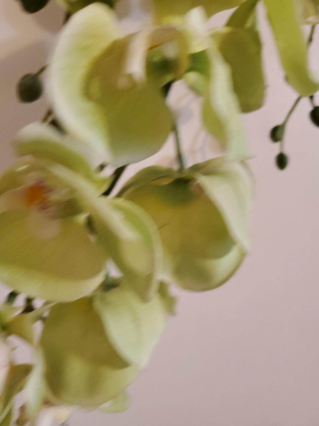 Orchid Stem Green Artificial Flowers Real Touch Plastic