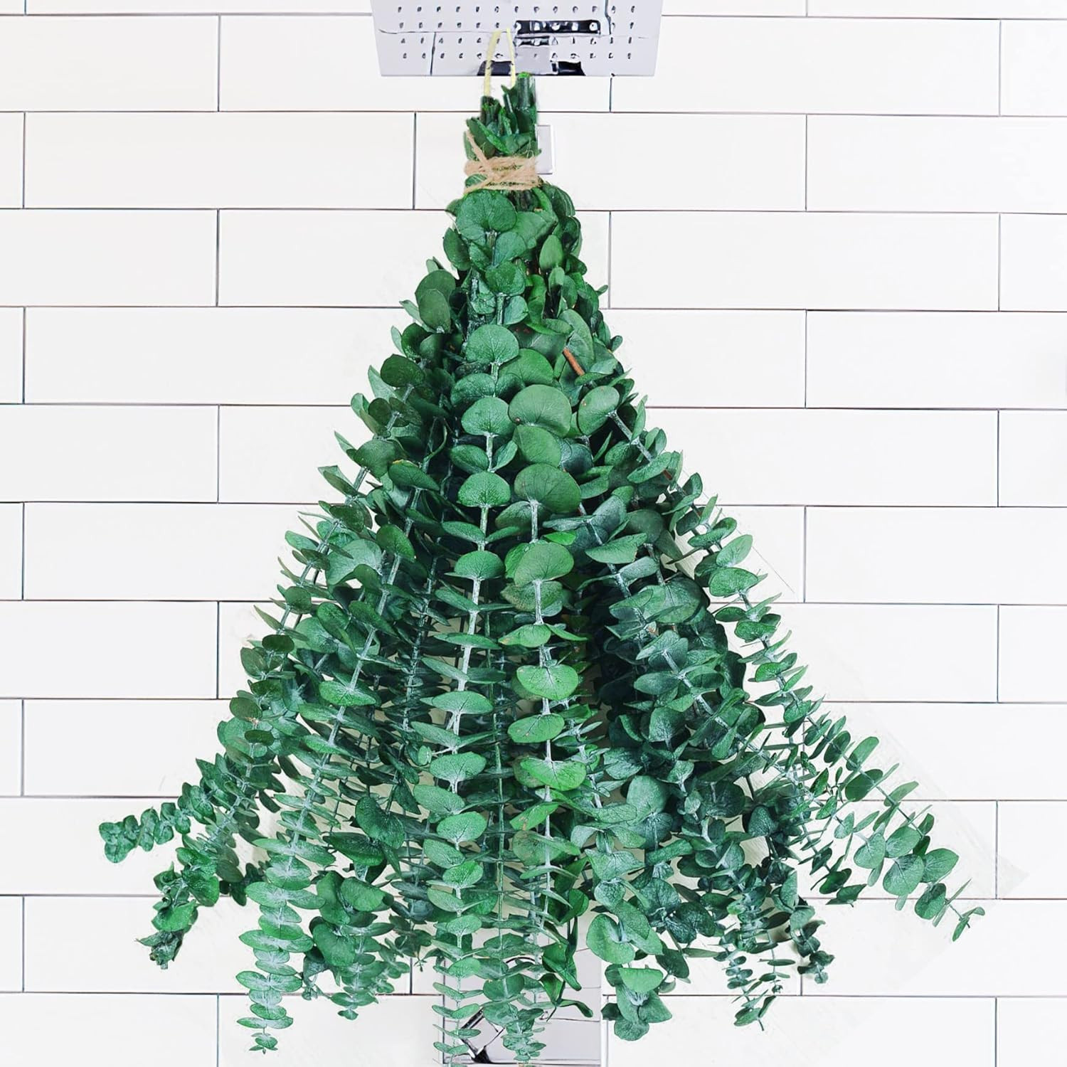10Pcs Dried Eucalyptus Stems, 17″ Real Natural Hanging Eucalyptus for Shower