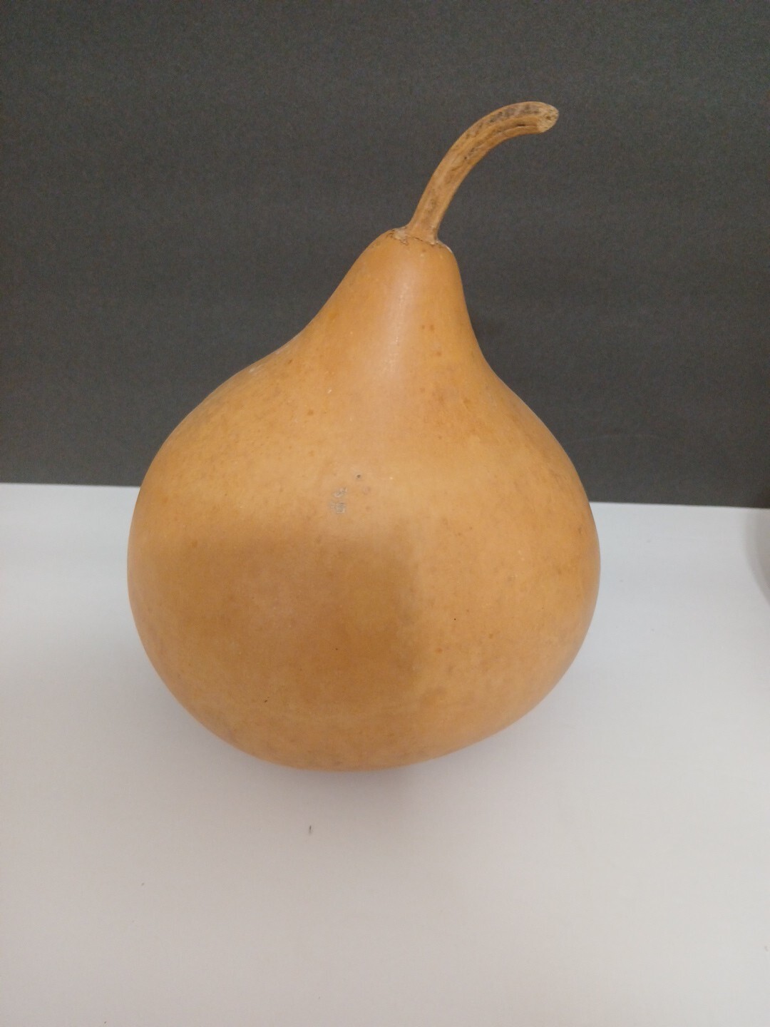 Organic Natural Calabash With Seeds Decorative Pieces 2