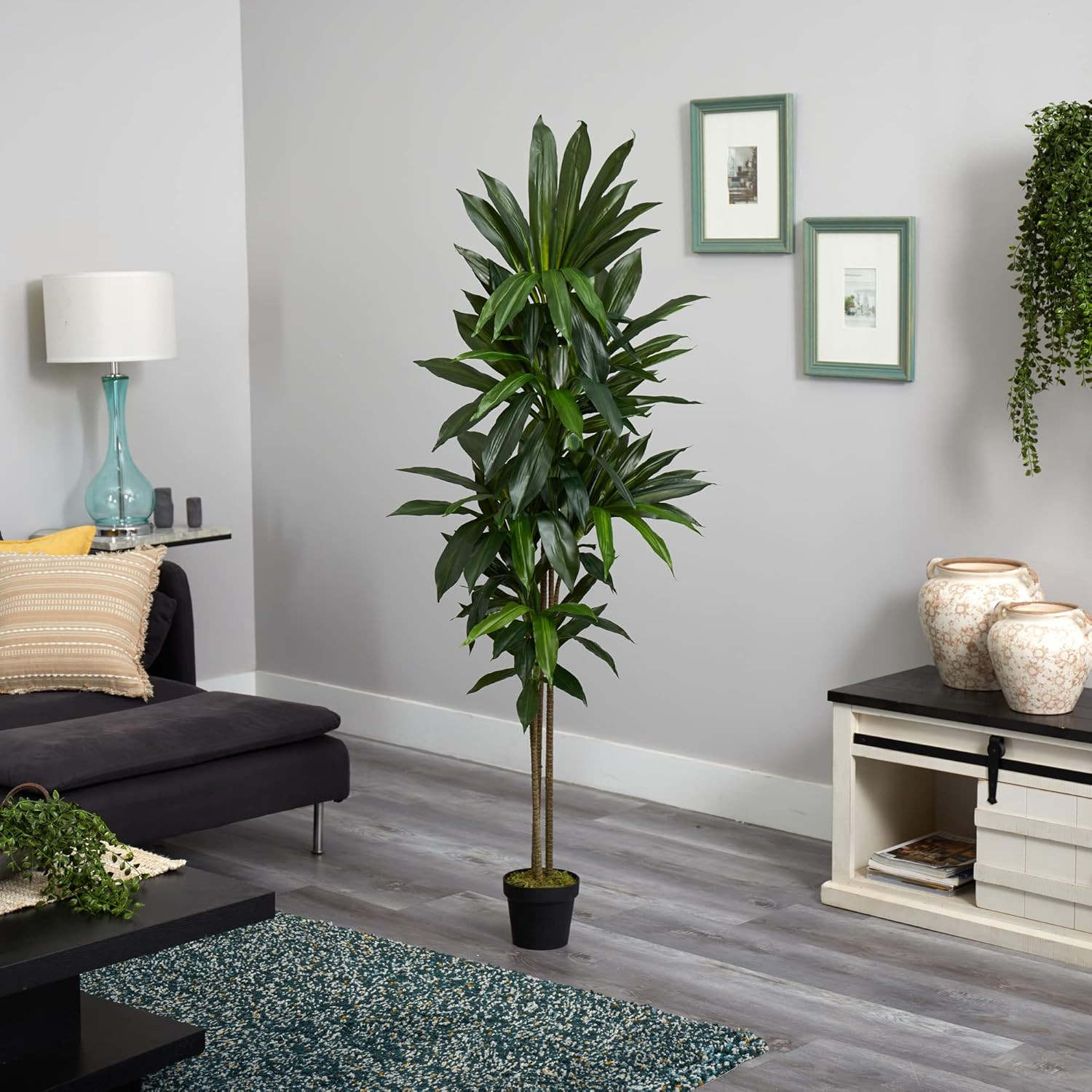 6Ft. Dracaena Silk Plant (Real Touch)