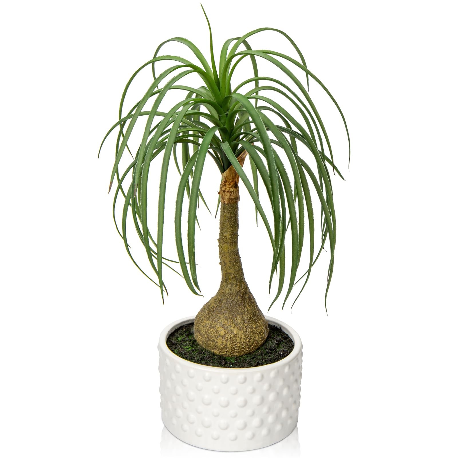 Artificial Ponytail Palm Plant in Pot Faux Bonsai for Office Home Decor Gift