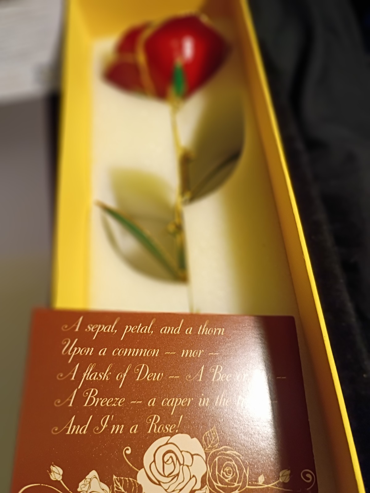 ZJchao 24K Gold Dipped Preserved Pink Rose Flower w/ Certificate