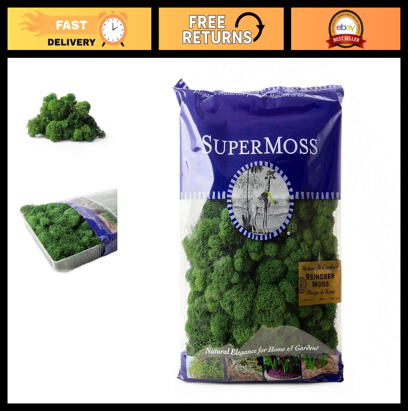 Preserved Reindeer Moss – Forest Green, 8oz (200 Cubic Inches) for Crafts & Deco