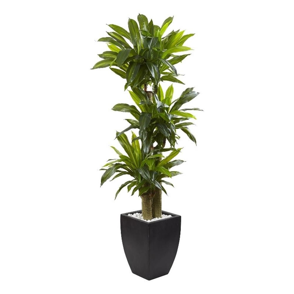 Nearly Natural 66″ Corn Stalk Dracaena with Black Wash Planter in Green/Black