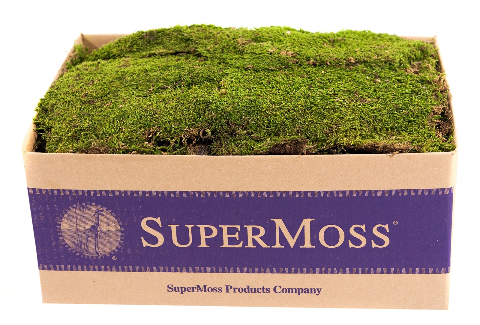 Fresh Green Preserved Sheet Moss for Plants Crafts and Home Decor 20-24 sq ft