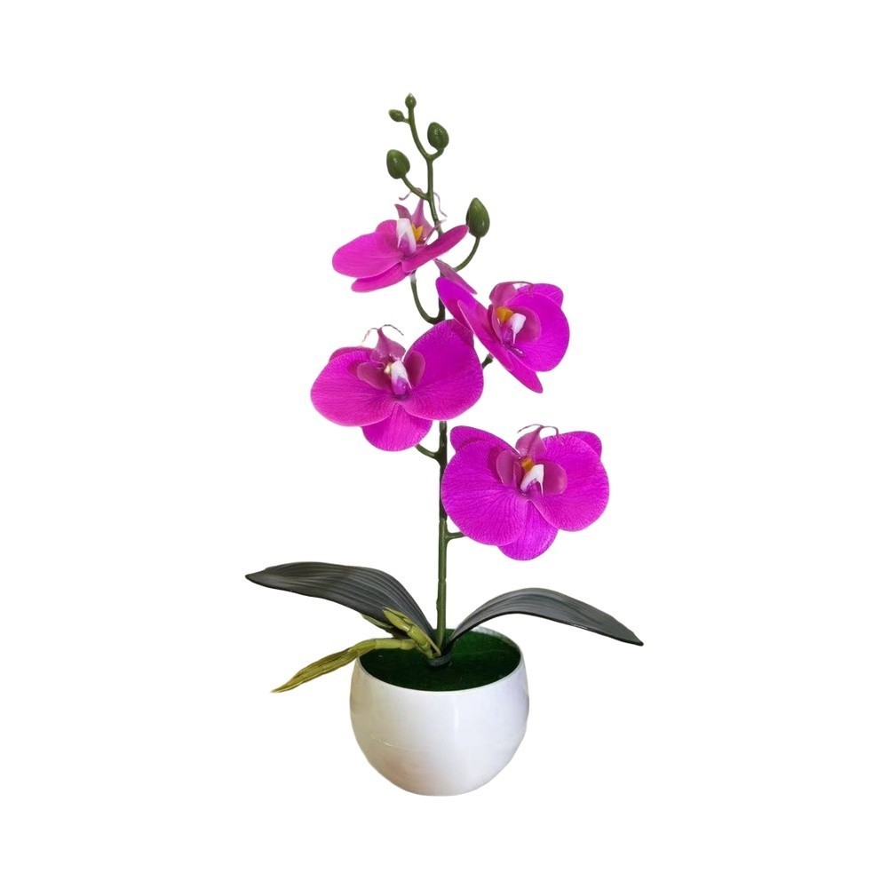 Four Flower Butterfly Orchid Bonsai Simulation in Round Belly Pot Decor
