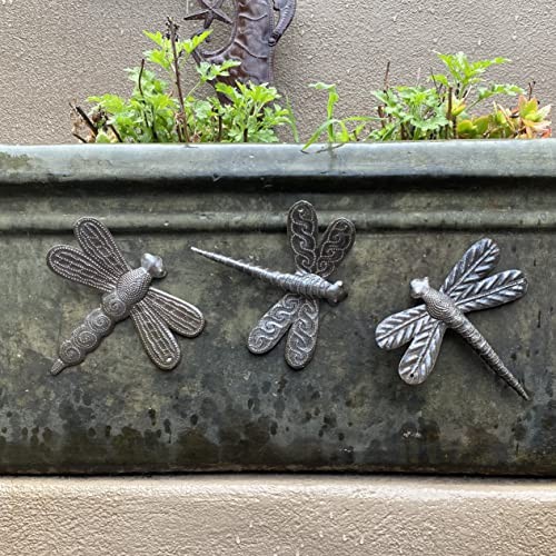 Set of 3 Small Garden Dragonflies 6 Inches, Decorative Wall Hanging Plaques,