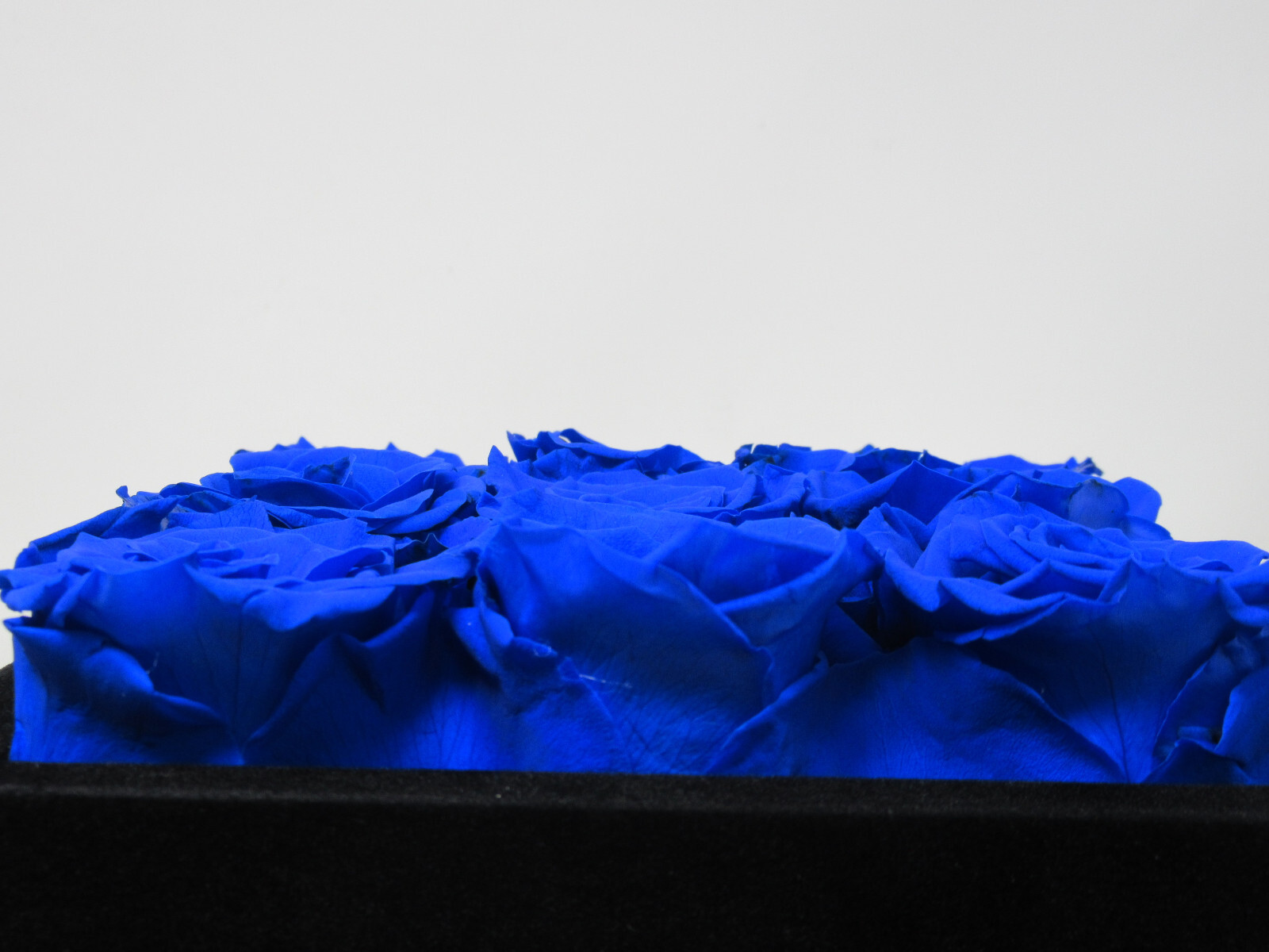 9 Roses FOREVER NEW YORK Preserved Satin Rose Spiral Black Velvet Box ROYAL BLUE