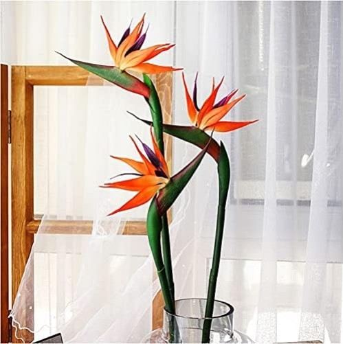 3 PCS 32 Inch Orange Red Large Bird of Paradise Permanent Artificial Flower, …