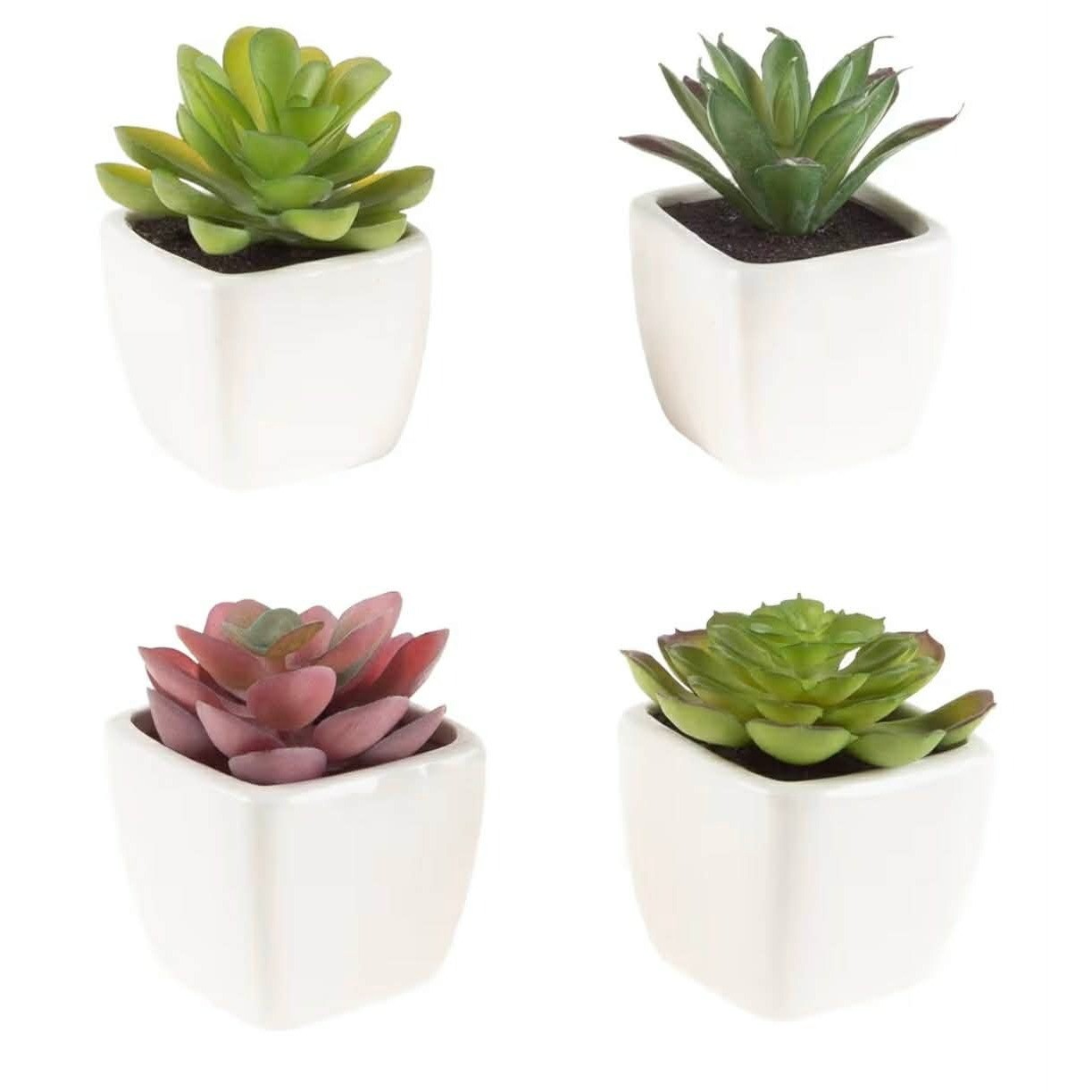 Pure Garden Faux Succulents in White Ceramic Pots Set of 4 Green