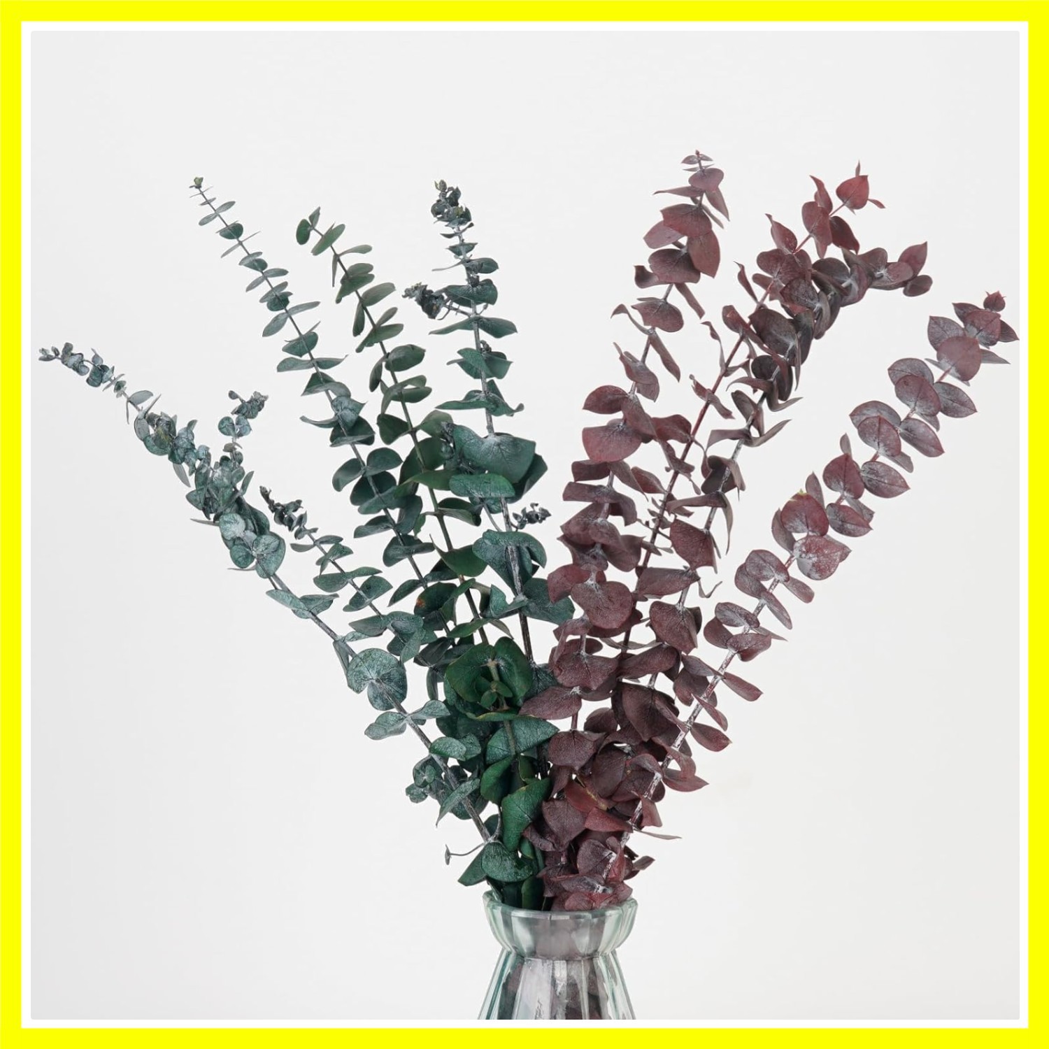 16 Pcs Real Dried Eucalyptus Stems, 17″ Natural Fresh Eucalyptus Branches for…