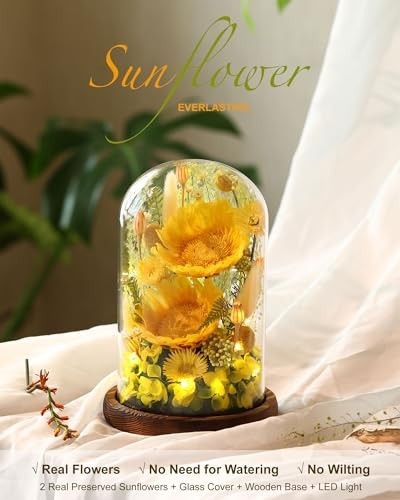 Preserved Sunflower in Glass Dome Gift for Mom, Wife, Grandma