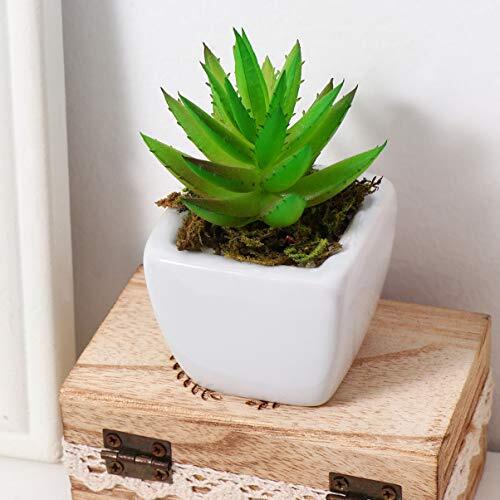 1 Pack Artificial Moss Fake Lichen Simulation Green Faux Pot Moss for DIY