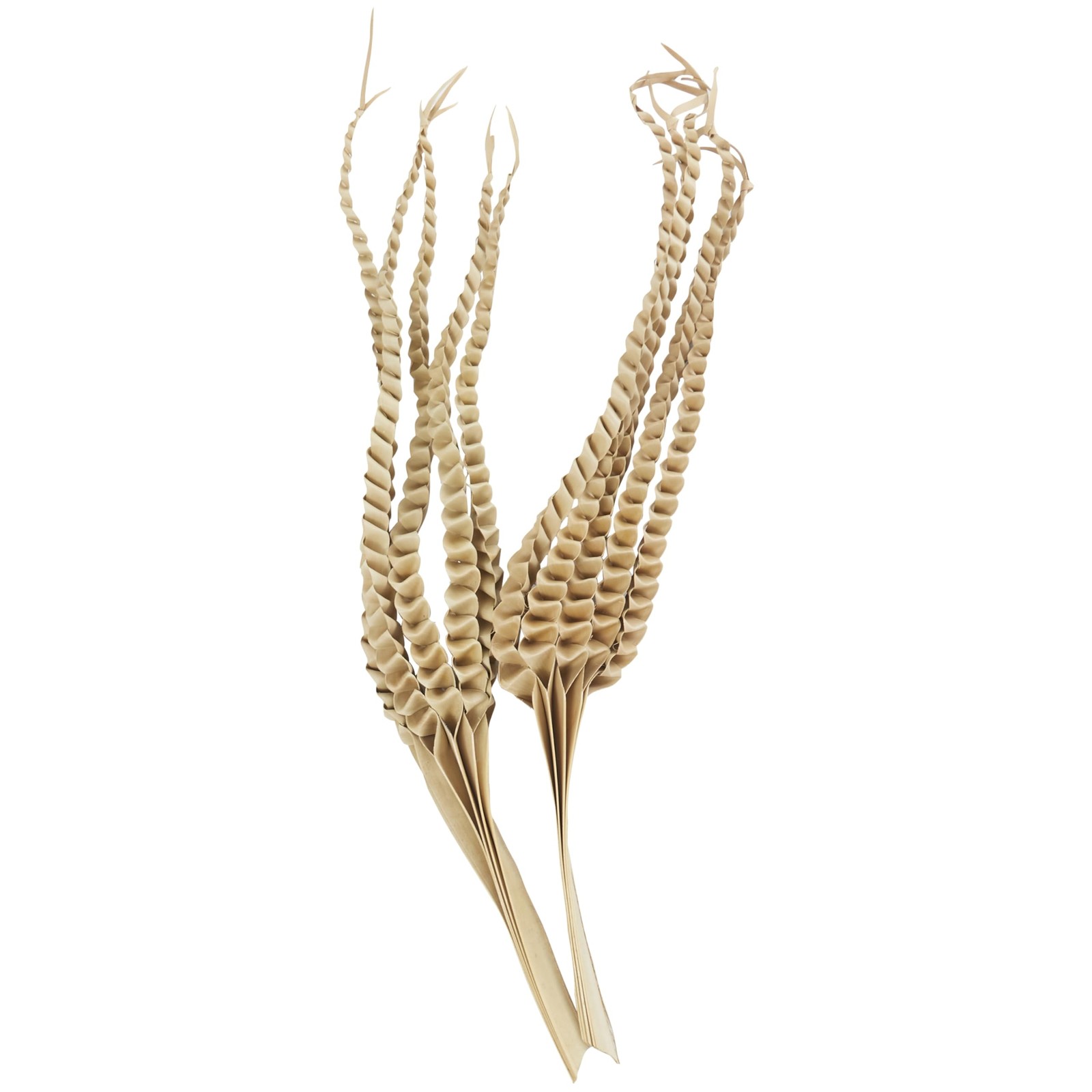 Dried Plant Palm Leaf Handmade Tall Five Finger Natural Foliage, 10″ x 4″ x 3…