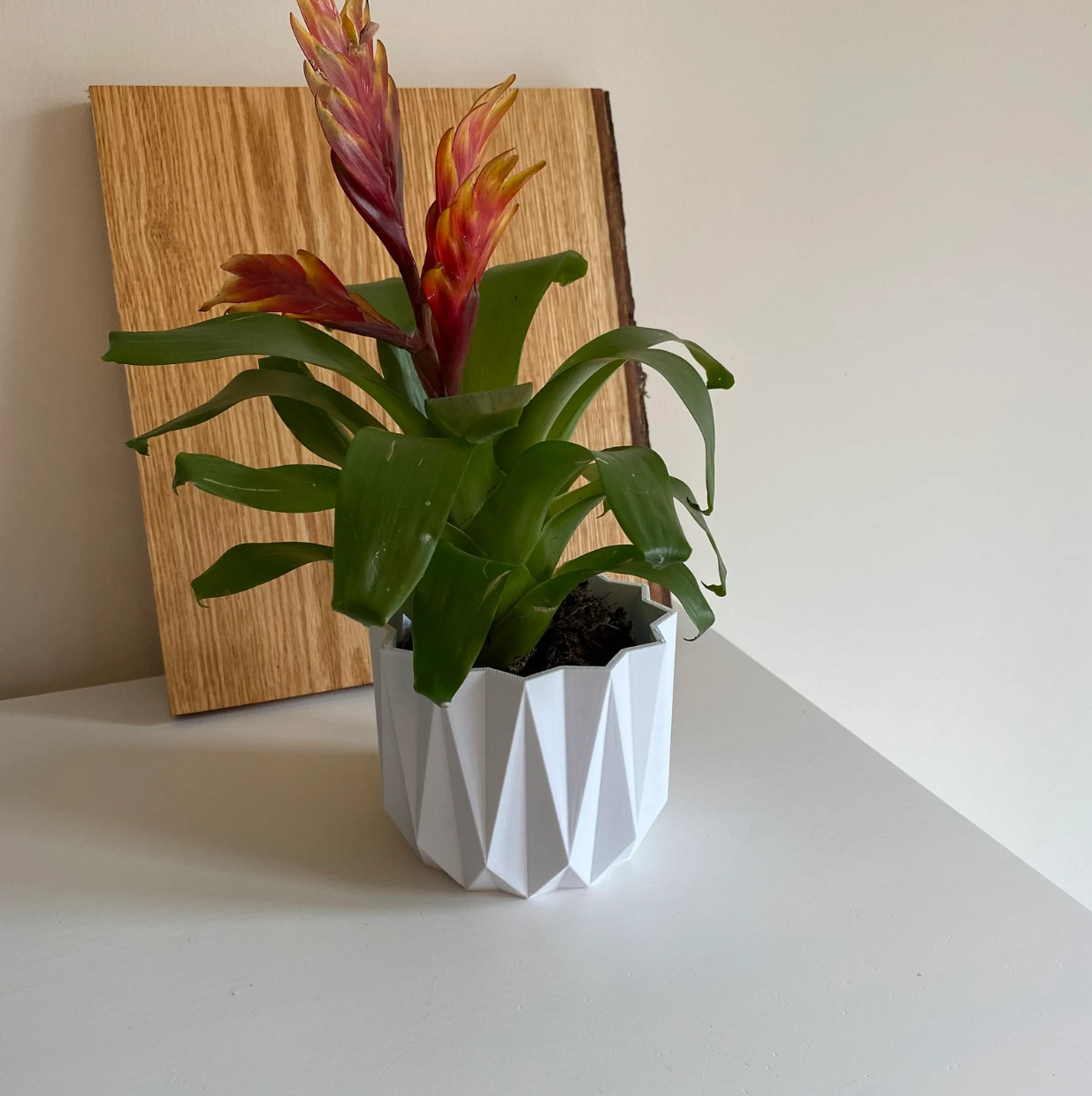 Small Decorative Flower Pot – White – Indoor Plant Pot