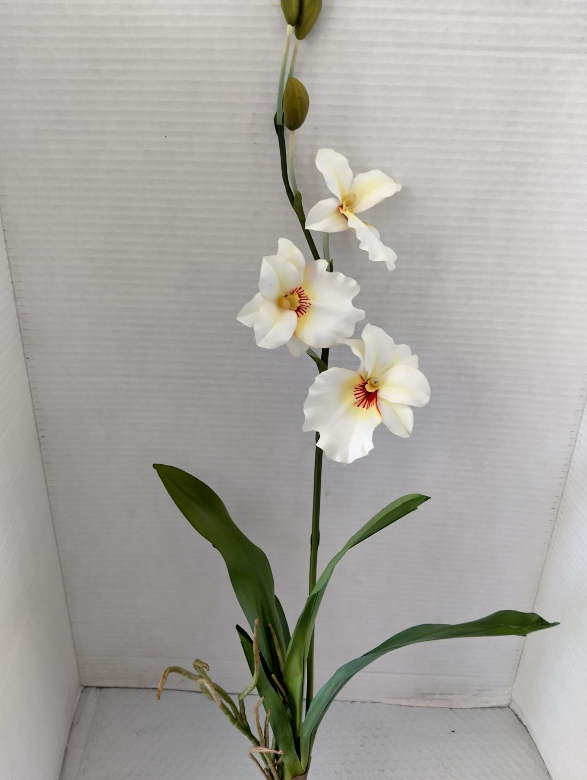ARTIFICIAL miltoniopsis orchid plant