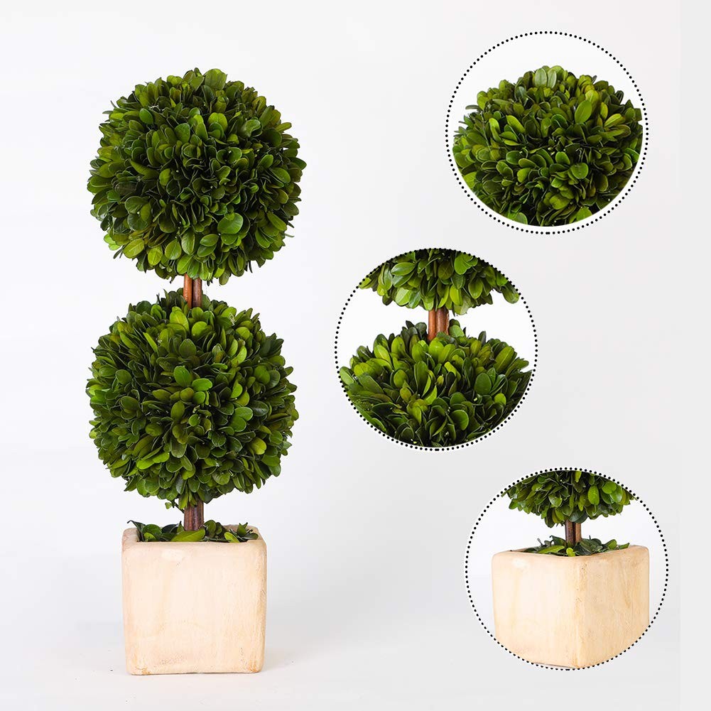 Potted Preserved Boxwood Topiary Green Plant for Home Decor Double Ball Shape 12