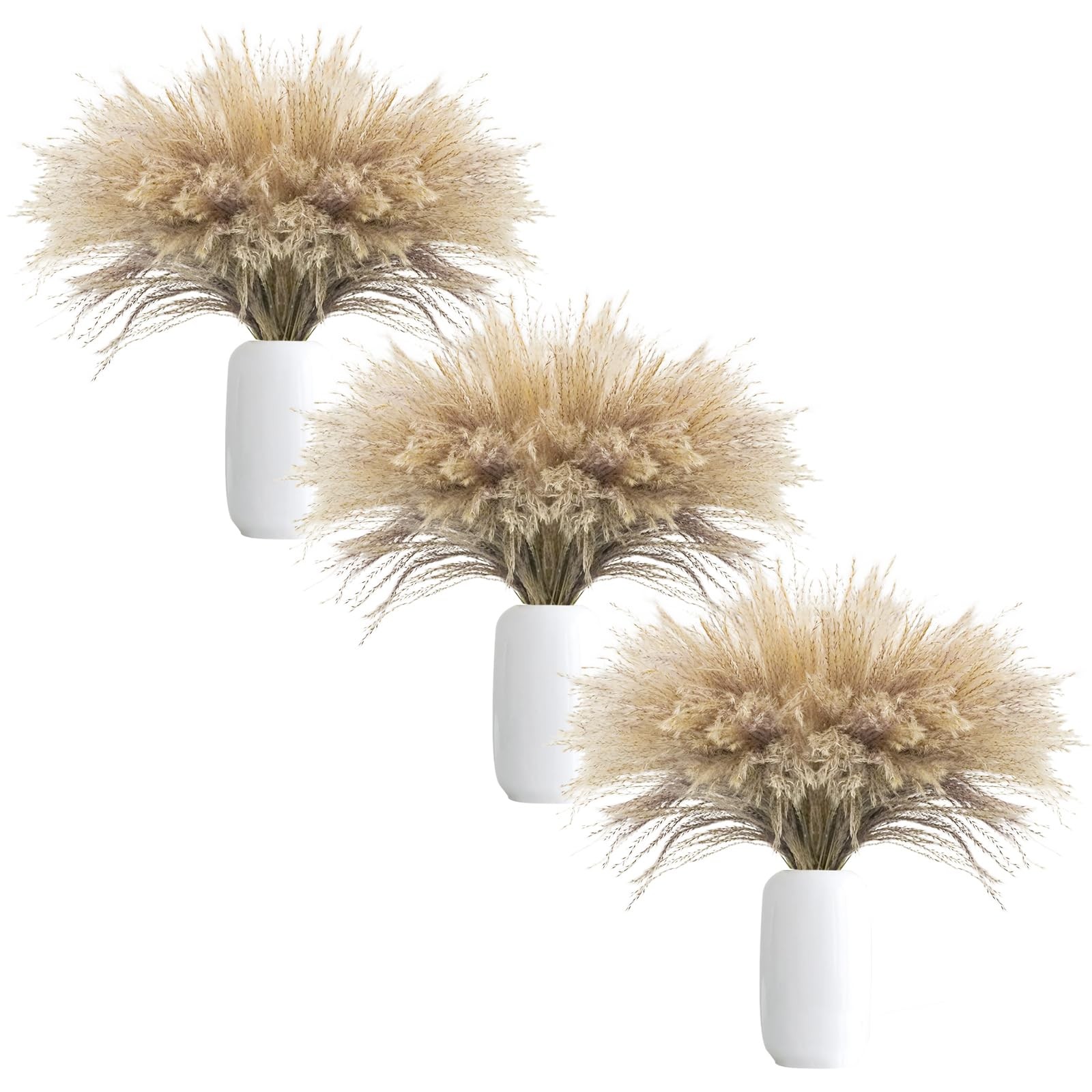 300Pcs Natural Dried Pampas Grass Plume 17inch Tall Dried Flowers Bulk Reed D…