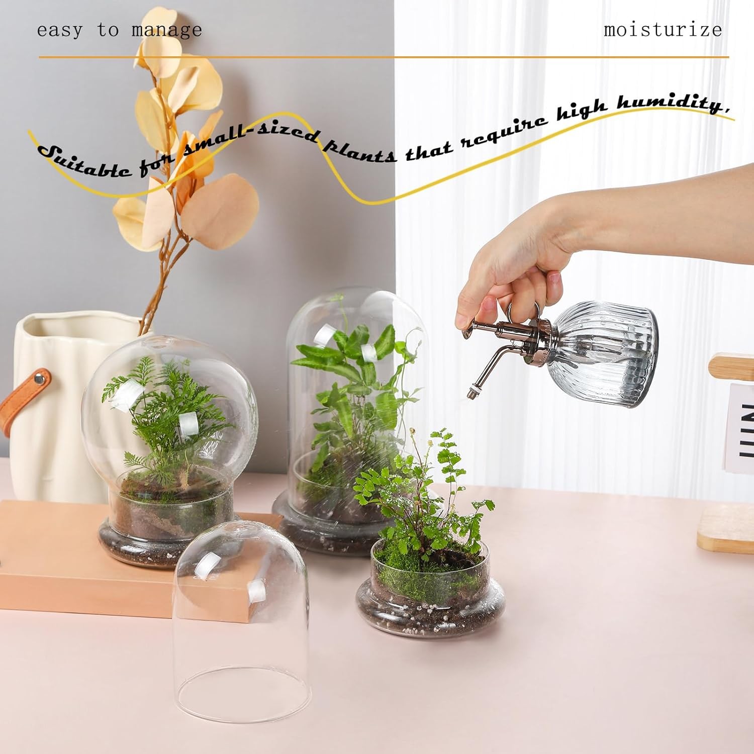 WHJY 8 inches Glass Cloche for Indoor Plants Small Terrarium Glass Cloche with B