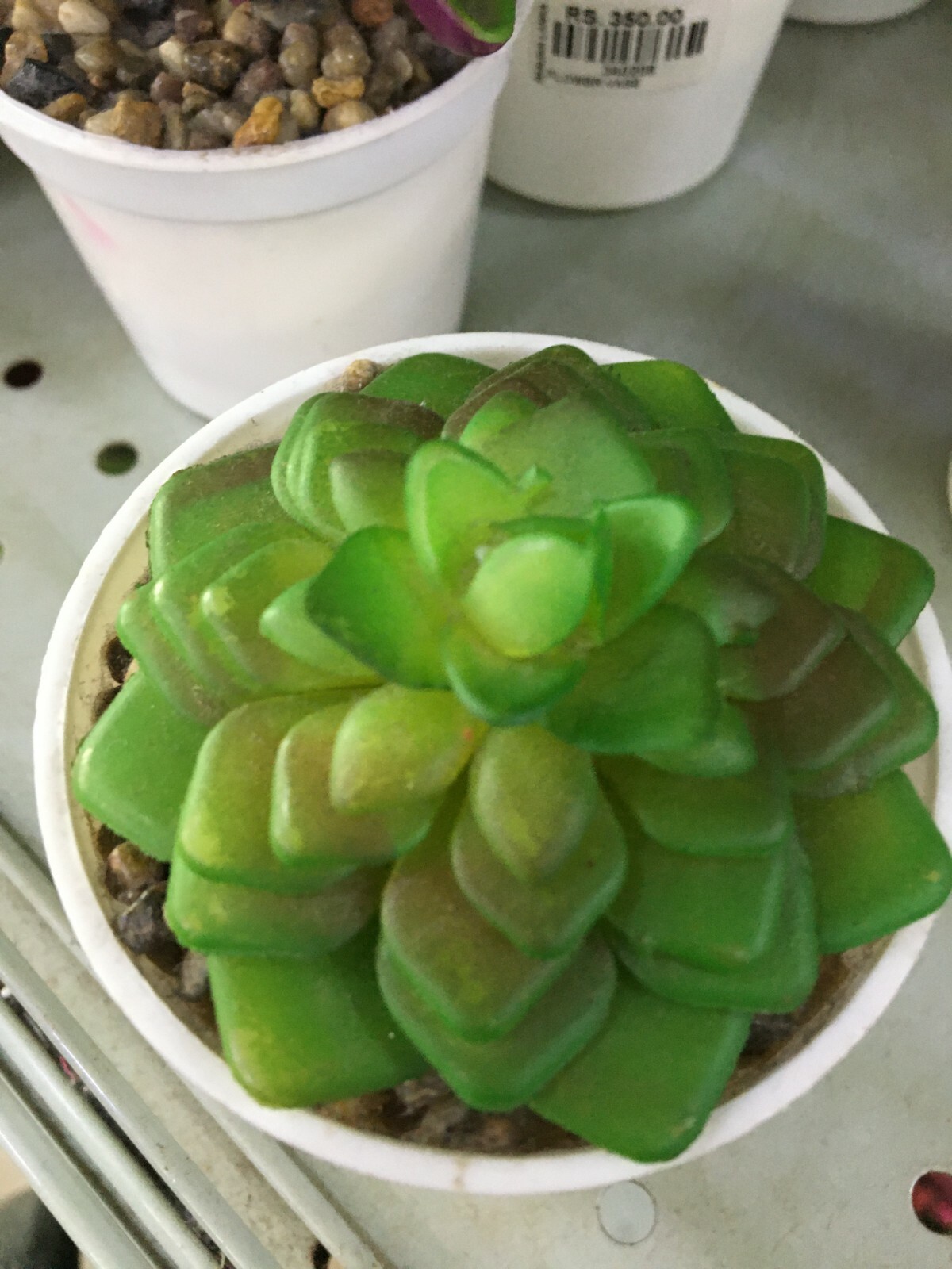 Artificial Plastic Small Water Dust Proof Cactus Tree Pot