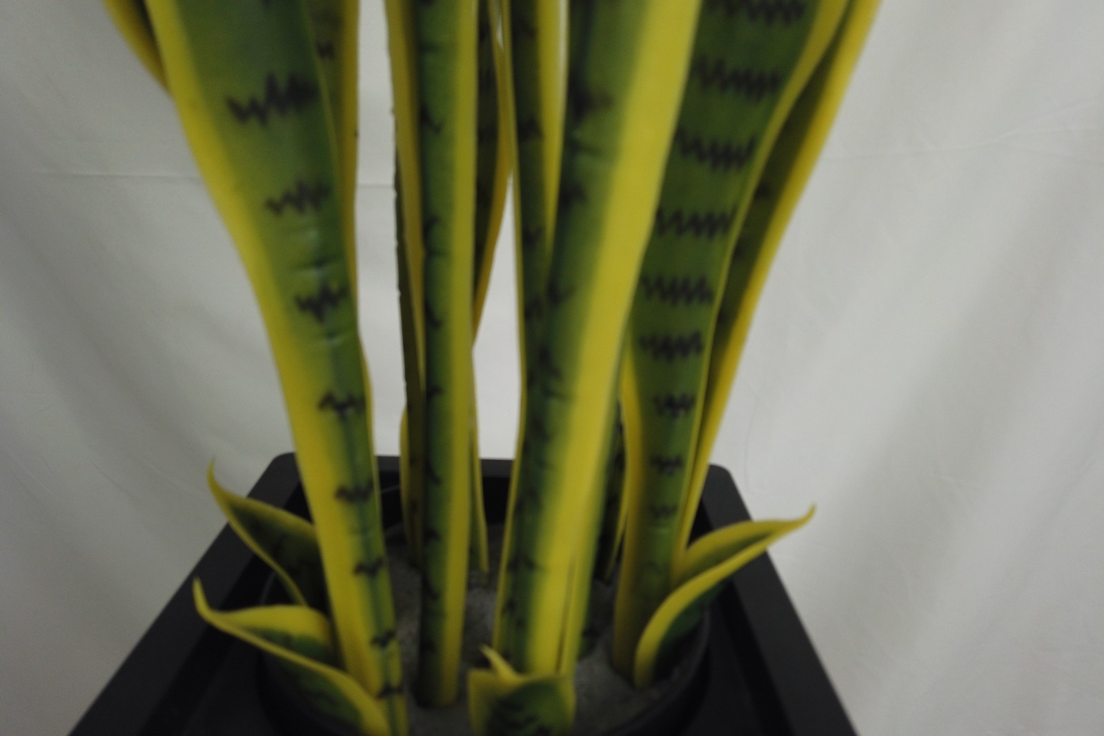 90cm Golden Edge Artificial Snake Plant with Tall Black Planter Minimalist House