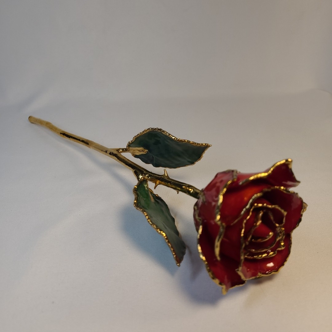 Lacquer Dipped Gold Trim Red Rose 11 in