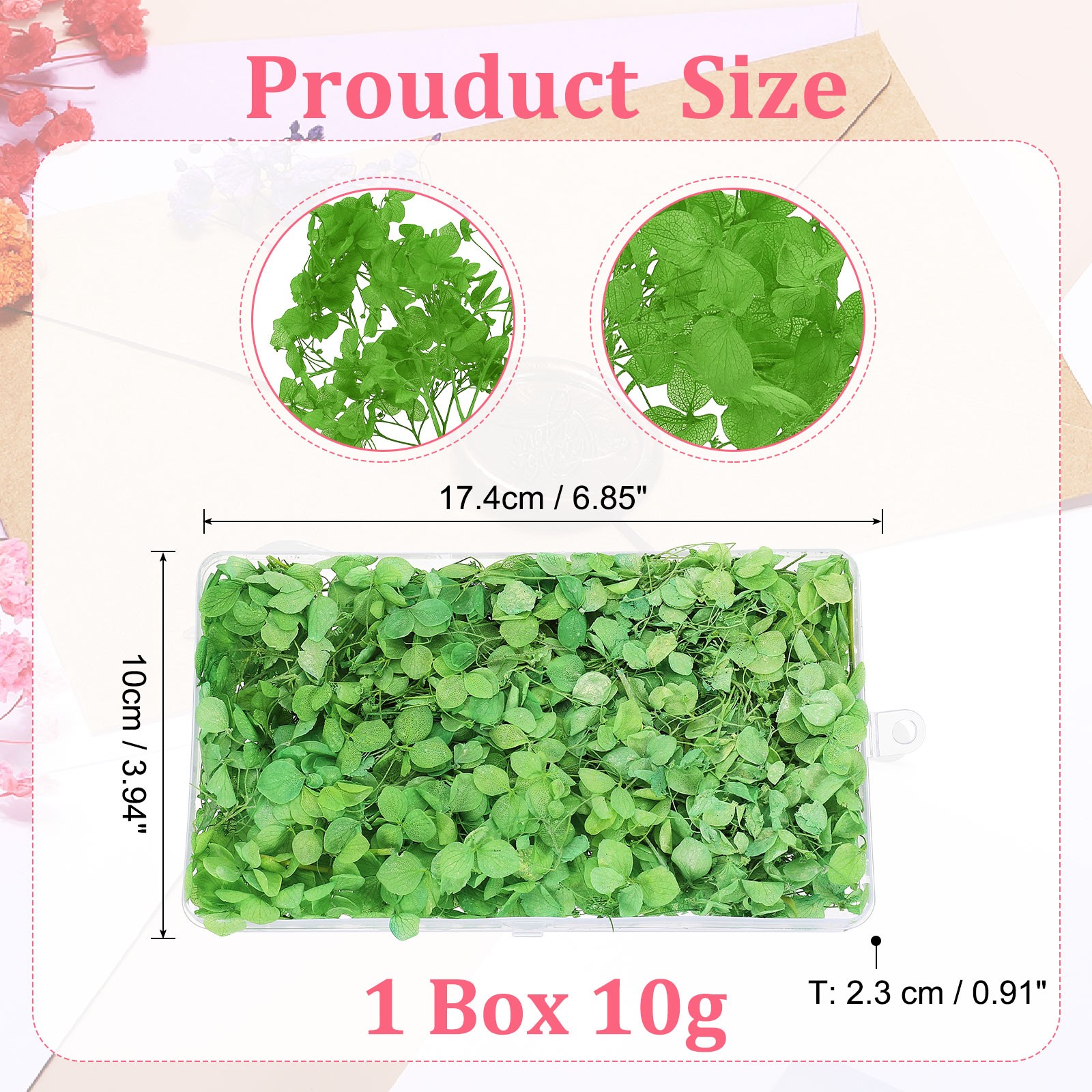 10g Mini Dried Hydrangea Flower Natural Pressed Flower Real Hydrangeas Green