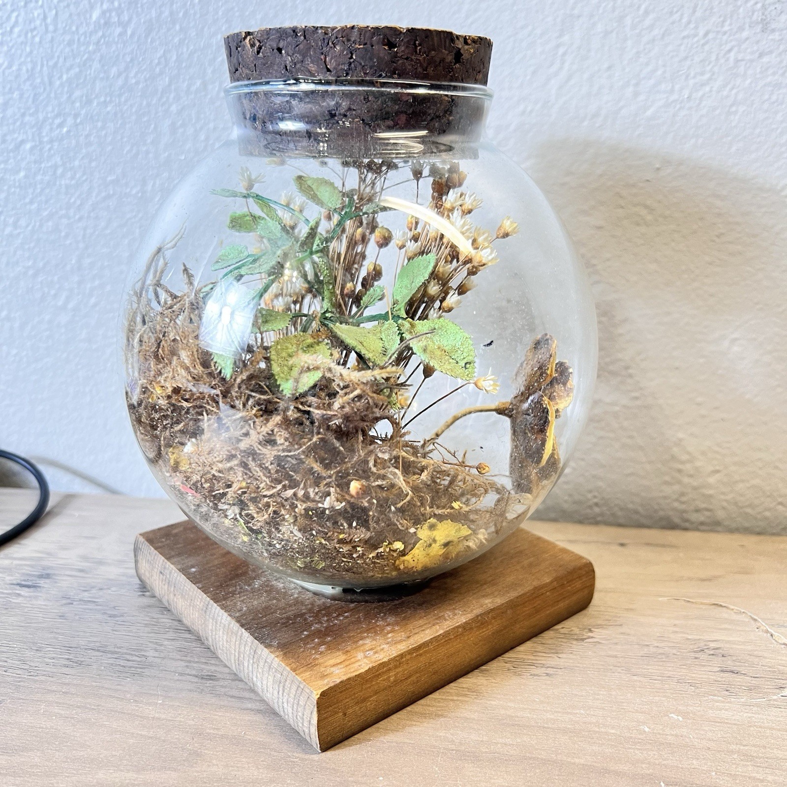 Vtg Leonard Creations Glass Terrarium Dome Dried Flowers Wood Base California