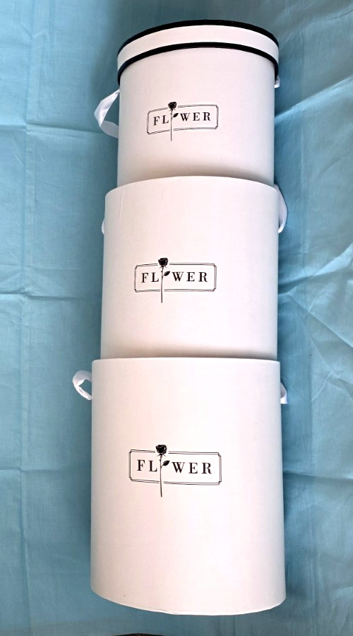 Flower Decor/Gift/Storage Boxes, Set of 3 White w/Ribbon Handles, Cardboard, New
