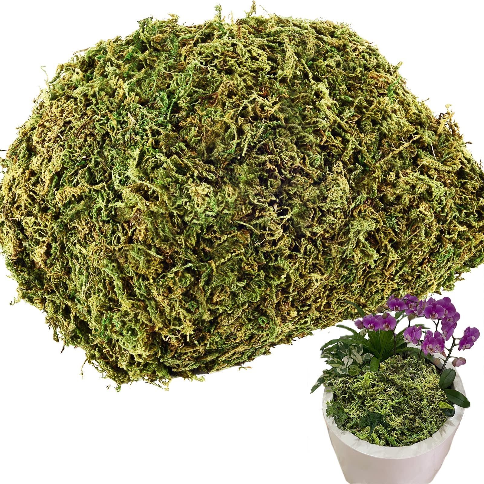 4.1OZ Fake Moss for Potted Plants and Fake Plants – Artificial Moss for Plant…