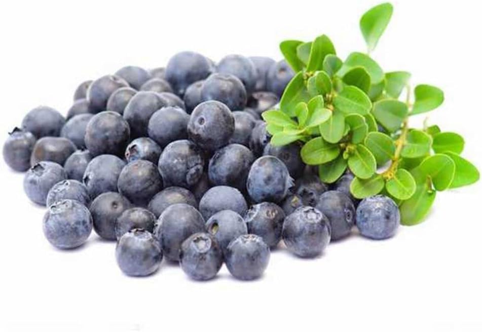 20 Pcs Artificial Blueberries Realistic Fake Blue Berry Plants Fruit Flowers