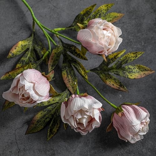 Thiccywoov Pcs Artificial Peonies Stems Flowers Vintage Faux Peonies 8 Brownish