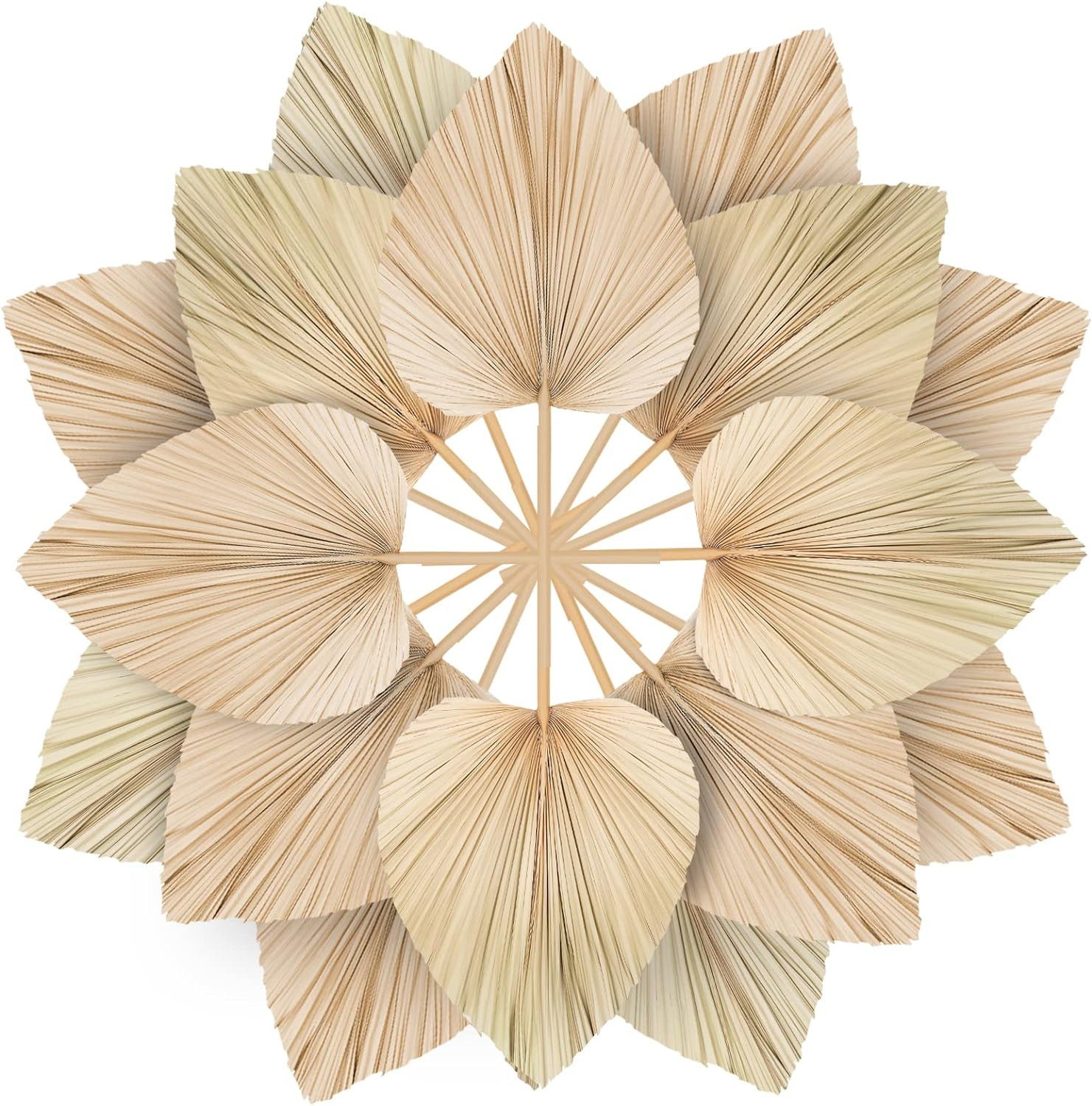 10 Large Bulk Boho Dried Palm Leaves, Fans with Stem, Natural Tropical Palm Flow