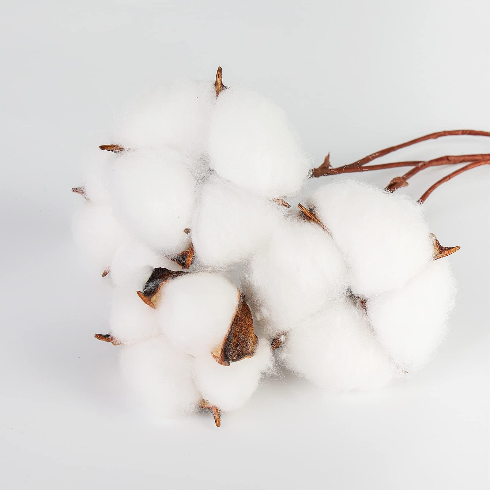 30PCS Natural Dried Cotton Stems, 15″ Tall Cotton Sprigs for Vase Fillers DIY…